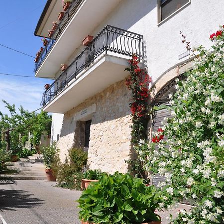 B&B La Palombara Giuliano di Roma Exteriér fotografie