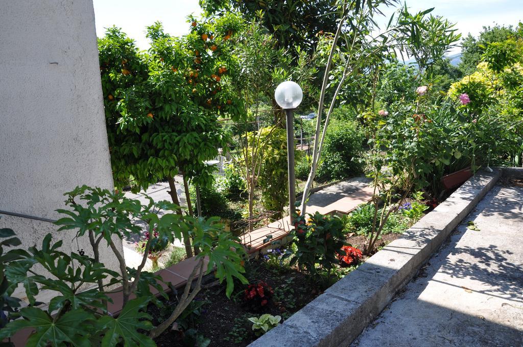 B&B La Palombara Giuliano di Roma Exteriér fotografie