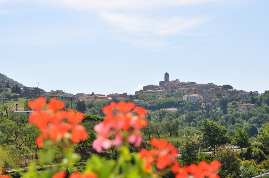 B&B La Palombara Giuliano di Roma Exteriér fotografie